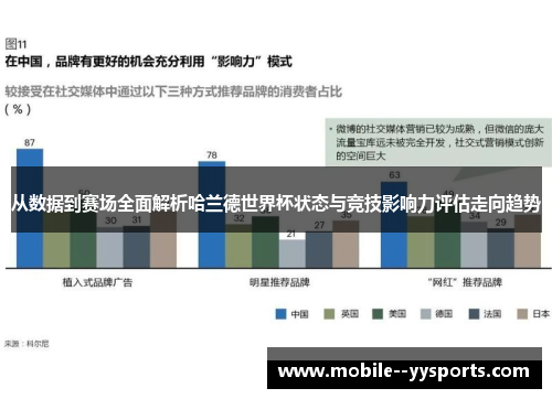 从数据到赛场全面解析哈兰德世界杯状态与竞技影响力评估走向趋势